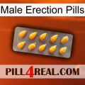 Male Erection Pills cialis1